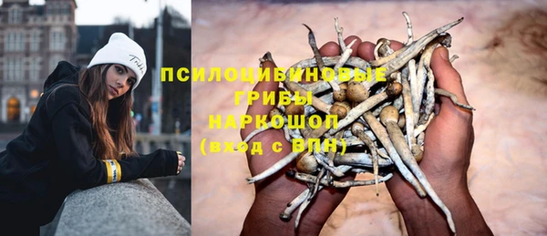 гашиш Медногорск