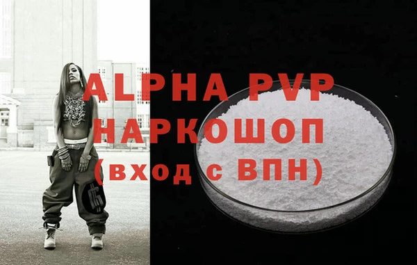СК Абинск