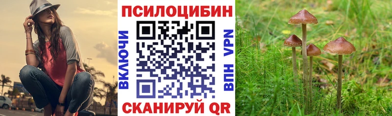 Галлюциногенные грибы MAGIC MUSHROOMS  Сальск 